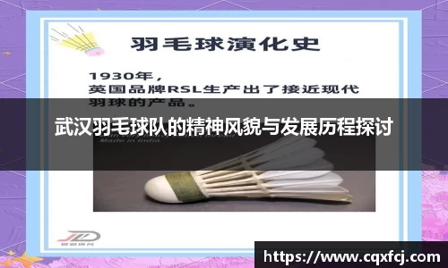 武汉羽毛球队的精神风貌与发展历程探讨
