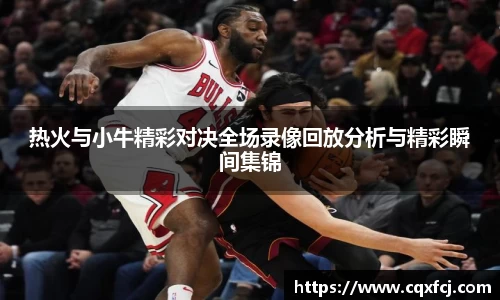 热火与小牛精彩对决全场录像回放分析与精彩瞬间集锦